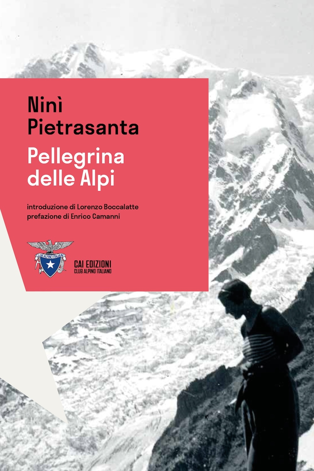 Pellegrina delle Alpi - copertina libro