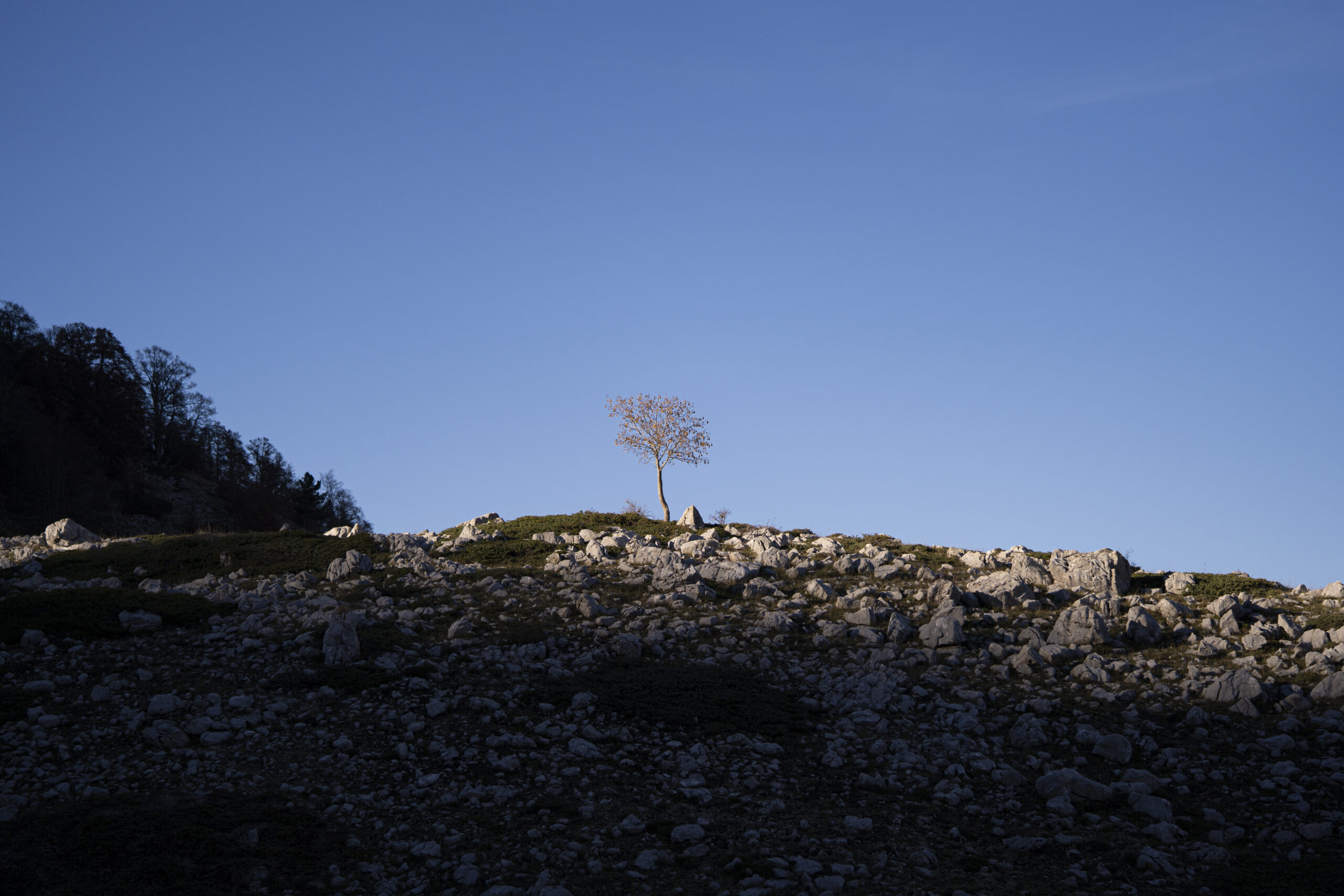 Voci di Montagna - foto rappresentativa della collana