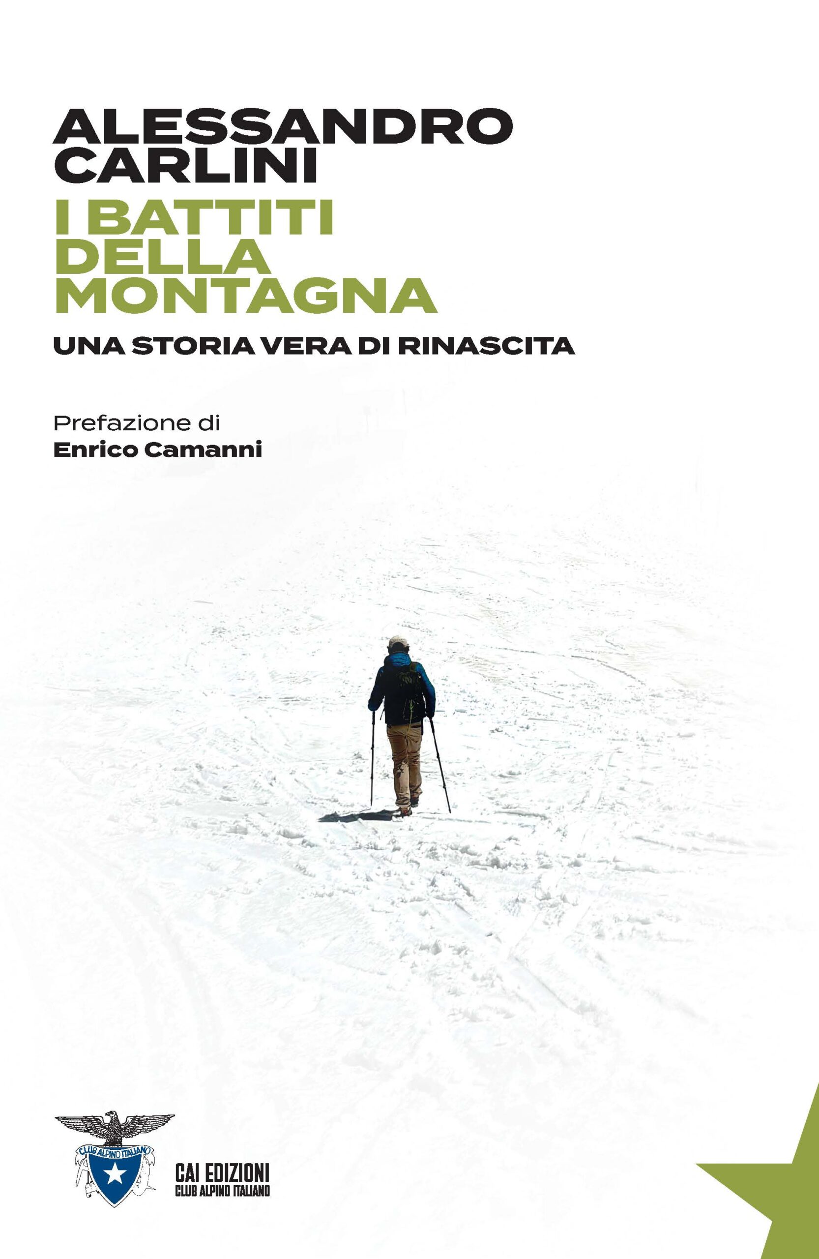 I battiti della montagna - copertina libro